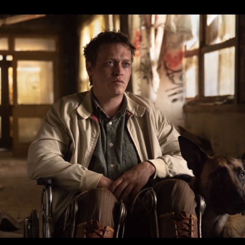 أفلام مهرجان الجونة