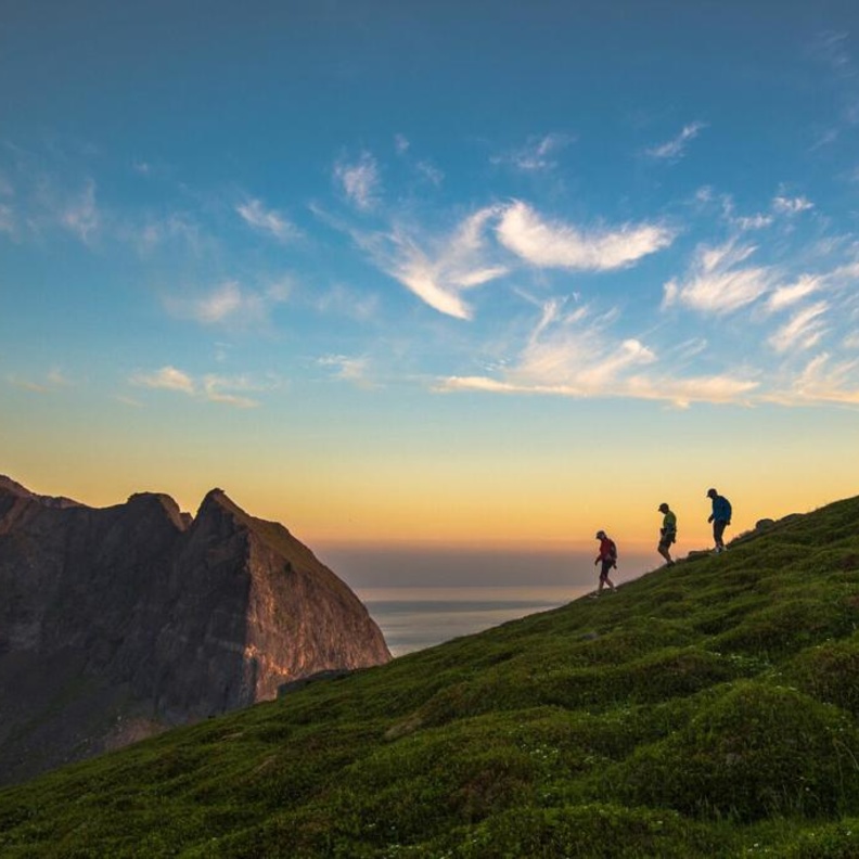 الاستدامة، الذكاء الاصطناعي والسفر البطيء من بين أكثر  الاتجاهات رواجًا في قطاع السياحة للأعوام الثلاثة المقبلة