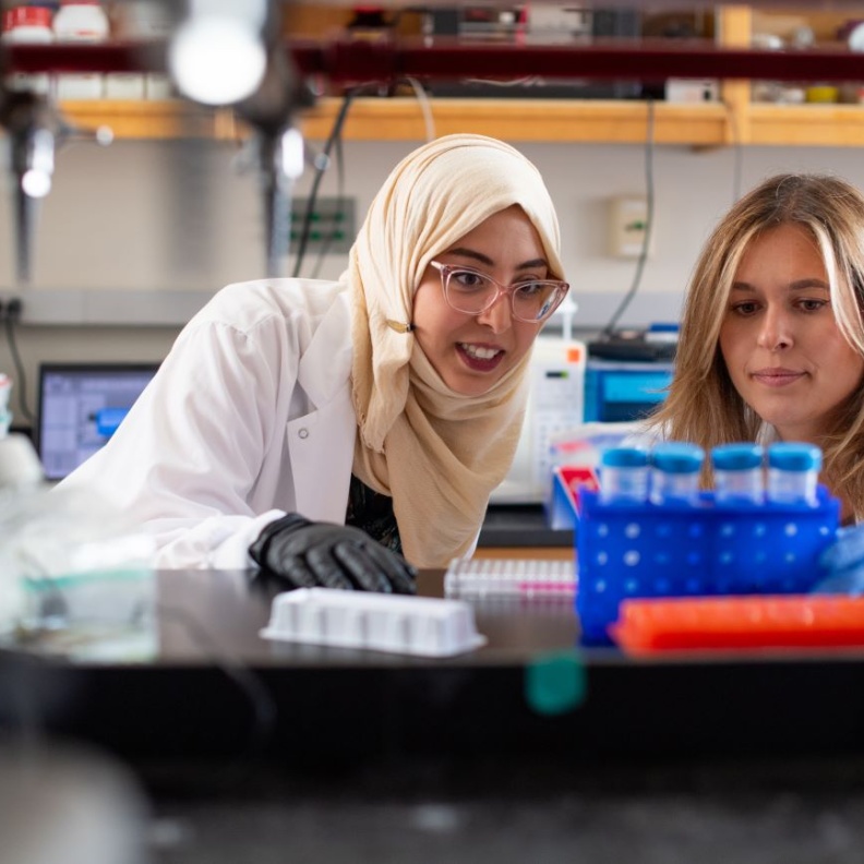 الدكتورة ولاء قطان 