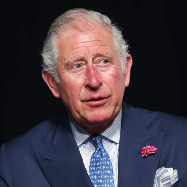 كيف سيتغير وضع الأمير آرتشي والأميرة ليليبيت إذا تنازل الملك تشارلز عن العرش؟