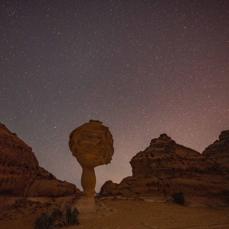 مهرجان العلا للفنون