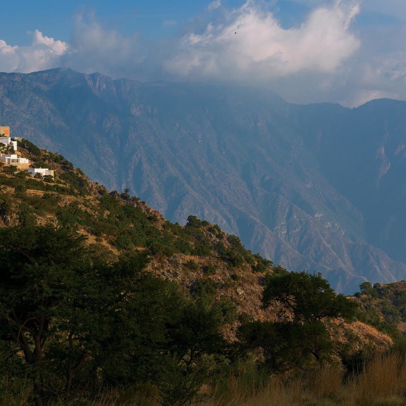  مبادرة السعودية الخضراء.. أرقام وإنجازات تتحقق على أرض الواقع