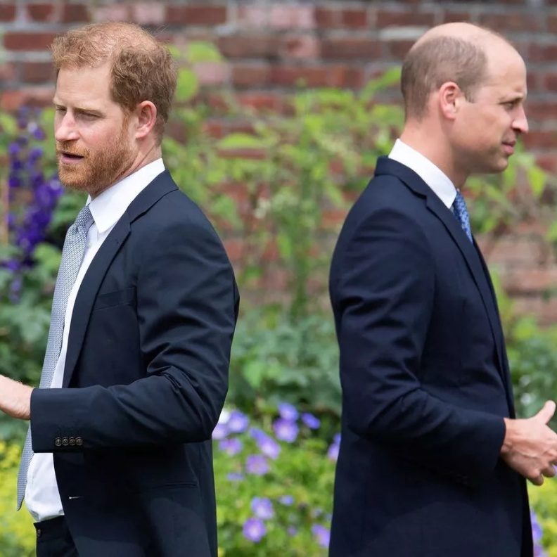 الأمير ديانا تفشل في جمع الأميرين وليام وهاري مجددا