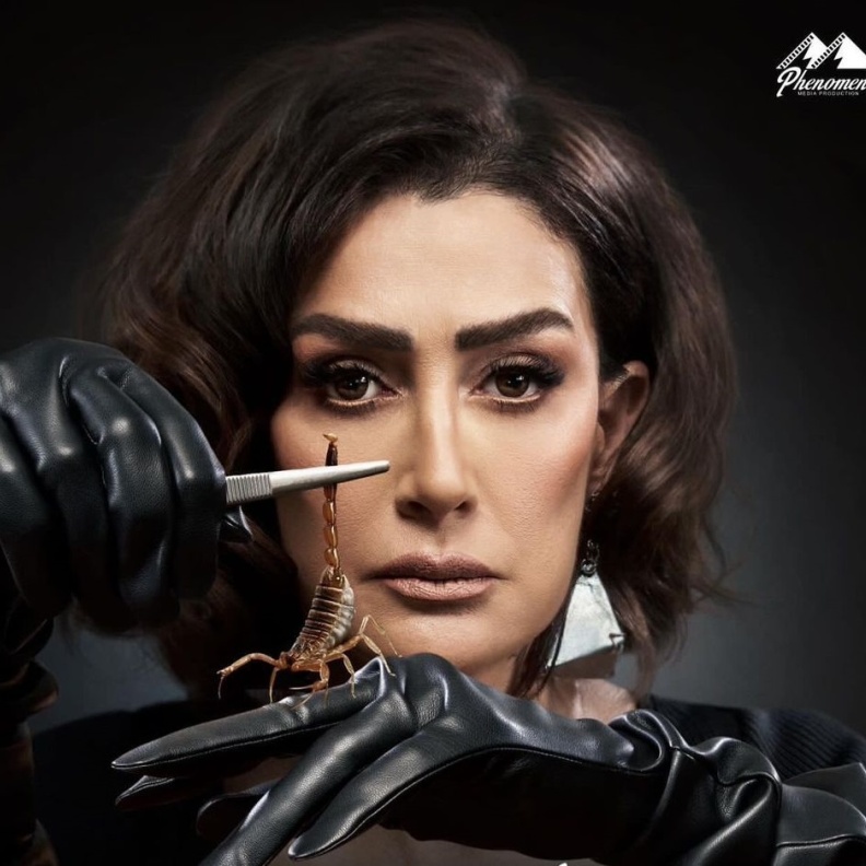 غادة عبد الرزاق