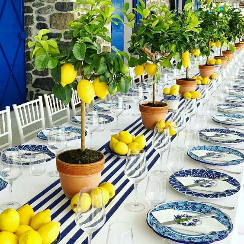 ثيم زفاف بالليمون مستوحى من الأعراس الإيطالية لحفل فينتج لا يُنسى