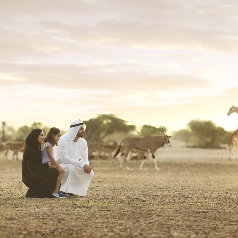 6 تجارب ساحرة لعشاق الطبيعة الخلابة في جزيرة صير بني ياس مع منتجعات أنانتارا