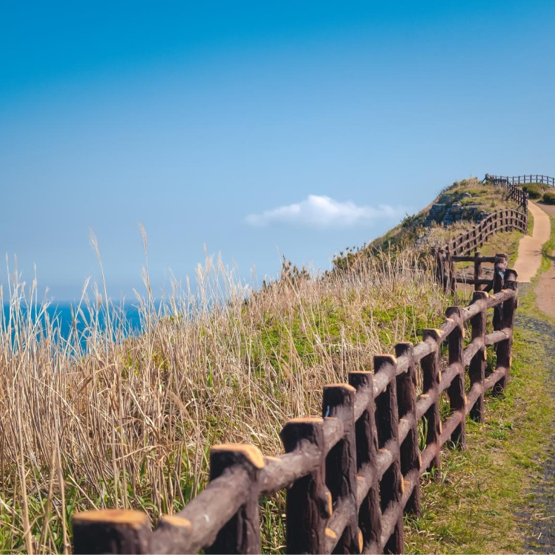 أفضل المواقع السياحية في جزيرة جيجو الكورية الجنوبية