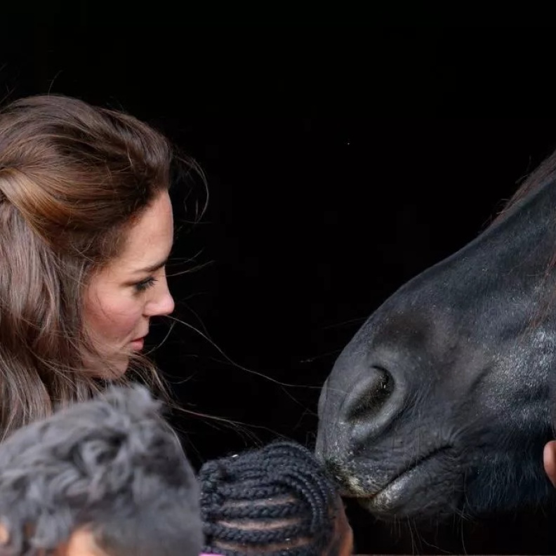 أشياء يتحسس منها أفراد العائلة الملكية.. أبرزها الحيوانات والسيلفي