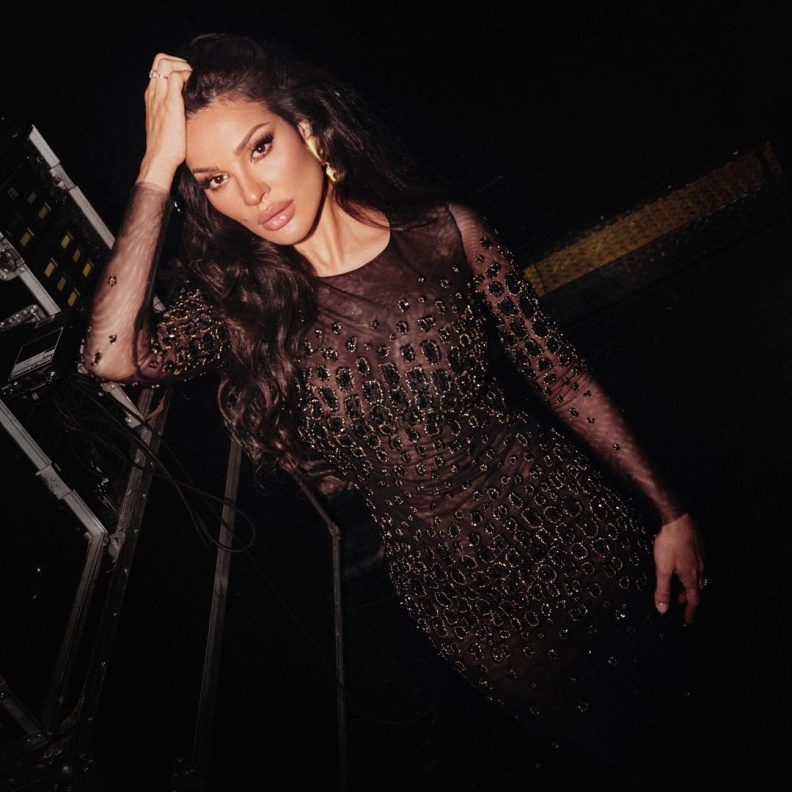 نادين نسيب نجيم