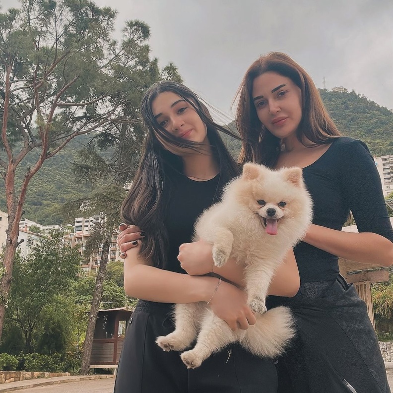 سيرين عبد النور