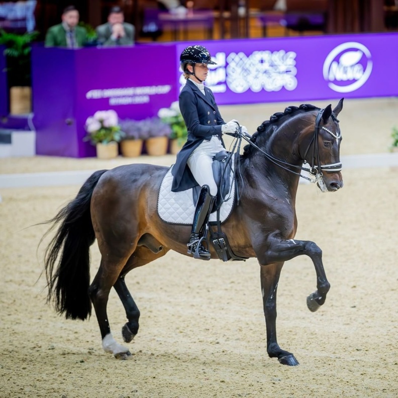 لأول مرة في الشرق الأوسط.. 7 معلومات عن بطولة كأس العالم لقفز الحواجز والترويض 2024 في الرياض