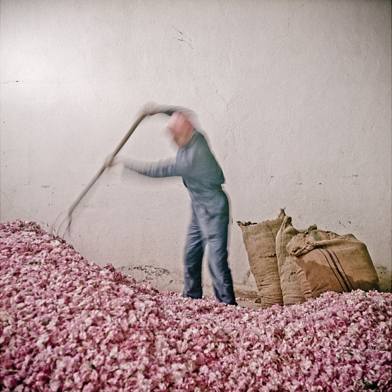 قبيل انطلاقه.. تعرفوا على معرض "عطور الشرق" في محطته الدولية الأولى في الرياض برعاية وزارة الثقافة