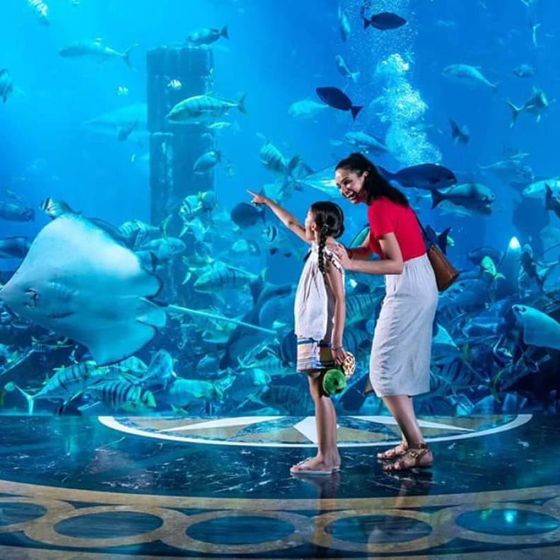 إليكم أبرز فعاليات الموسم الجديد من "مفاجآت صيف دبي"