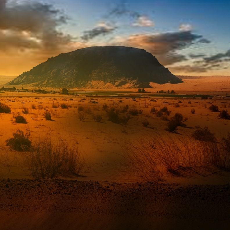 5 وجهات صحراوية فاتنة للمغامرة بين الكثبان الرملية المهيبة بالمملكة