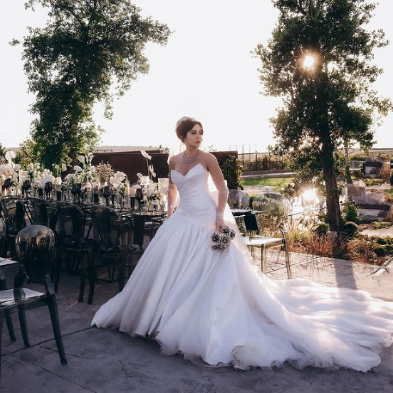 زيجات وخطوبة النجوم في يونيو 2024 بينها زفاف سارة أبي كنعان وشيرين أبو العز