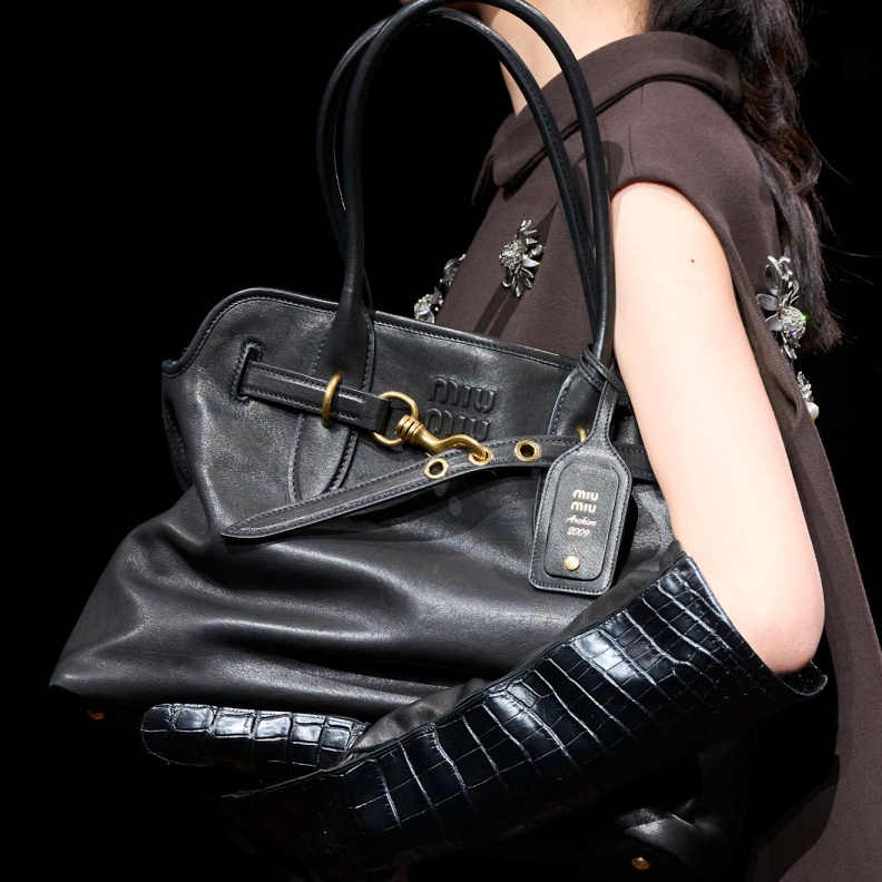 إطلالة من Miu Miu