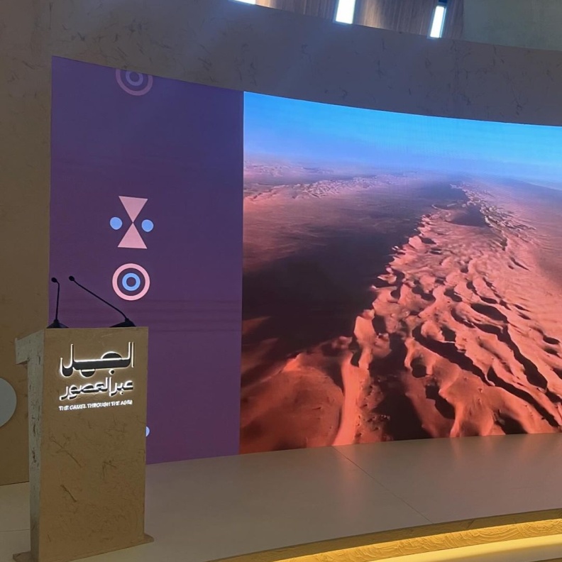 رحلة تاريخية برؤية فنية ثقافية في معرض الجمل عبر العصور في إثراء