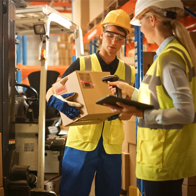 ما هو نوع شخصية اللوجستي؟