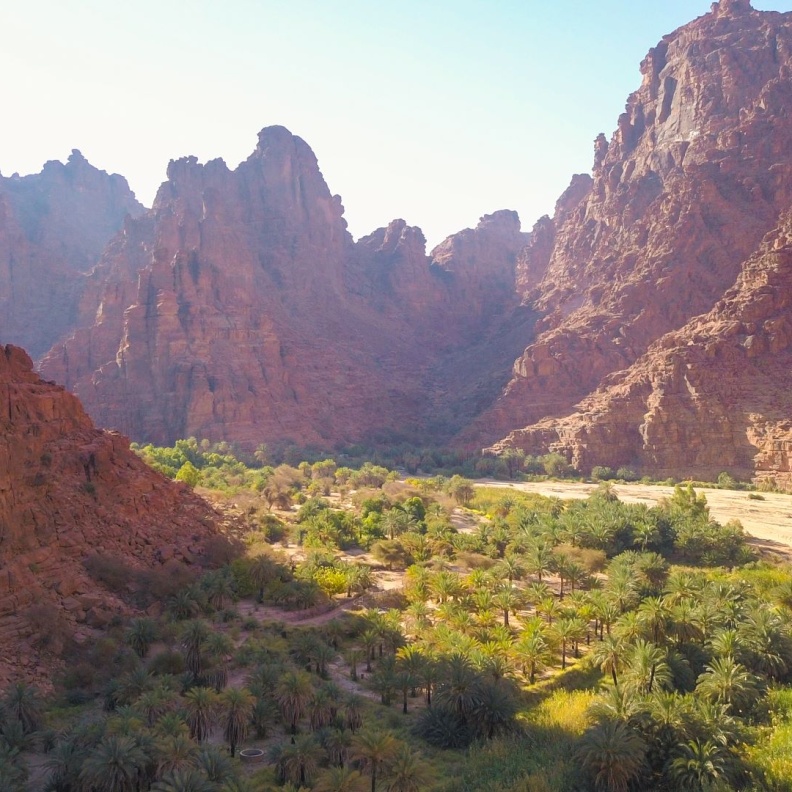 استمتعوا بسحر الطبيعة.. 10 أودية لا تفوتوا زيارتها في اليوم الوطني السعودي