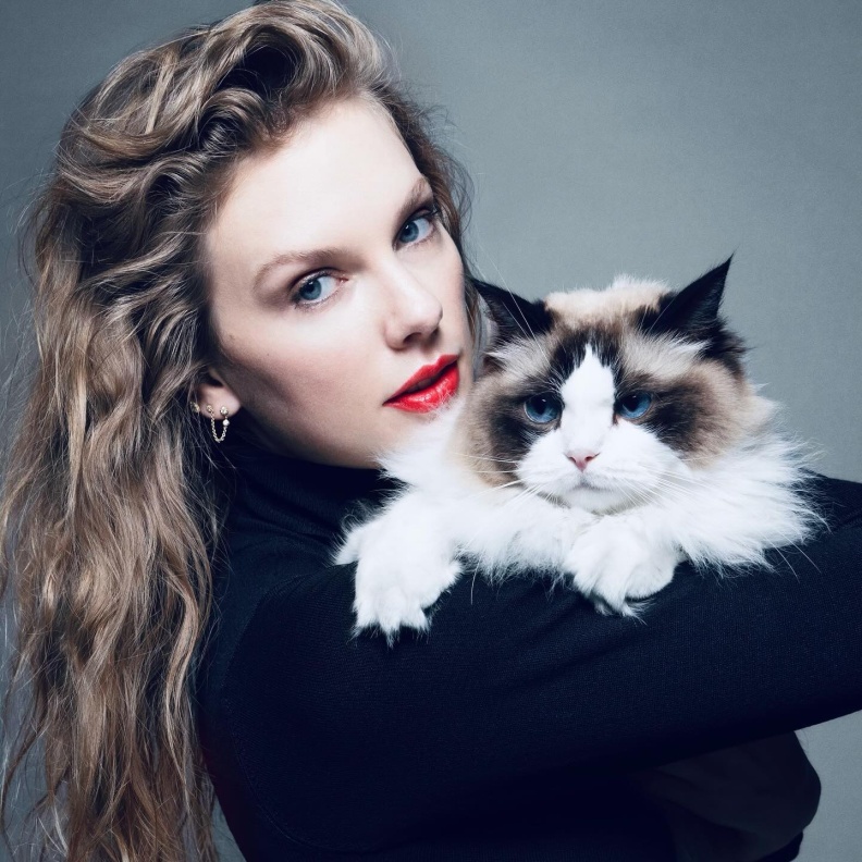 تايلور سويفت 