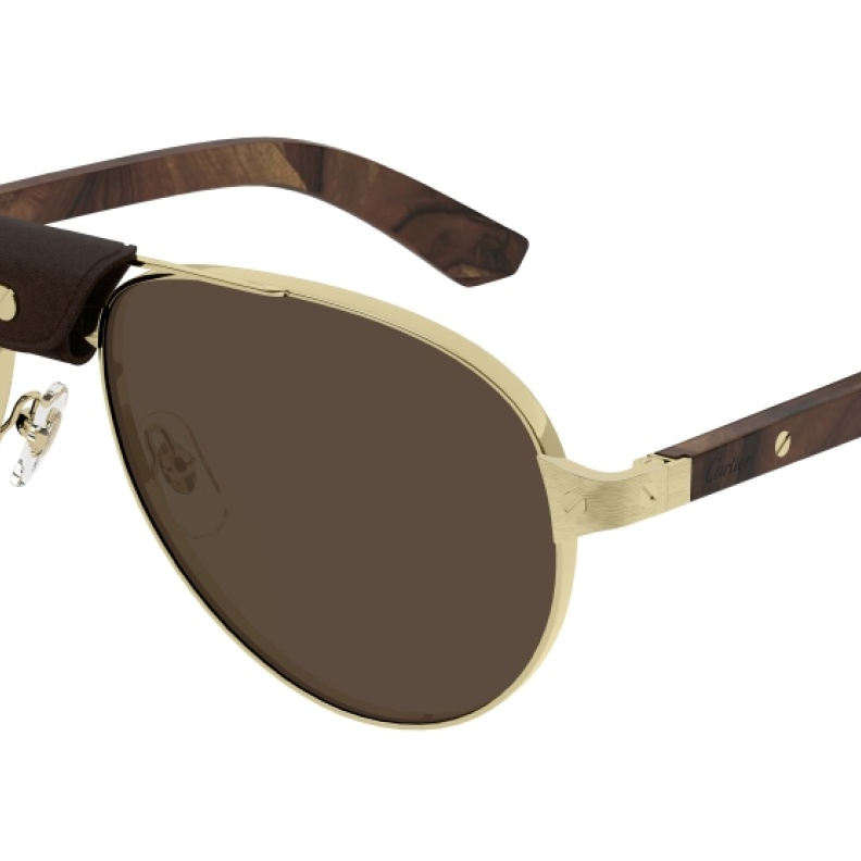 كارتييه وغوتشي وكلوي تطرح أحدث مجموعات نظارتها لموسم الخريف والشتاء