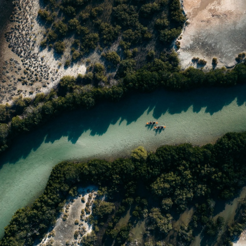 التجديف بقوارب الكاياك عبر غابات المانجروف في البحر الأحمر