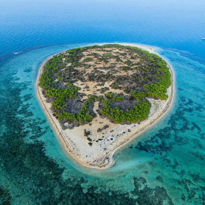 جزيرة أم القماري Umm Al- Qamari Island