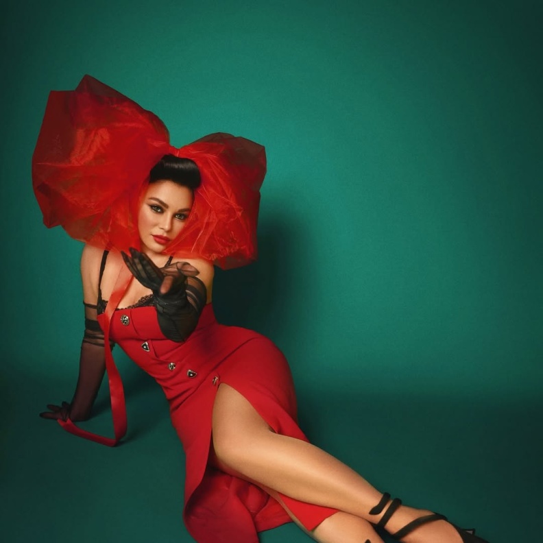 هيفاء وهبي تحتفل بالكريسماس على طريقتها الخاصة