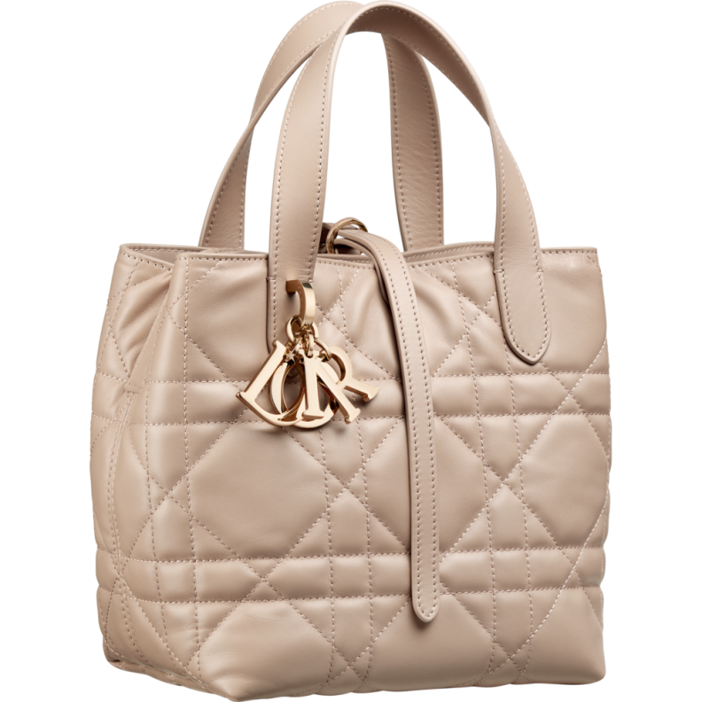 حقيبة Dior Toujours