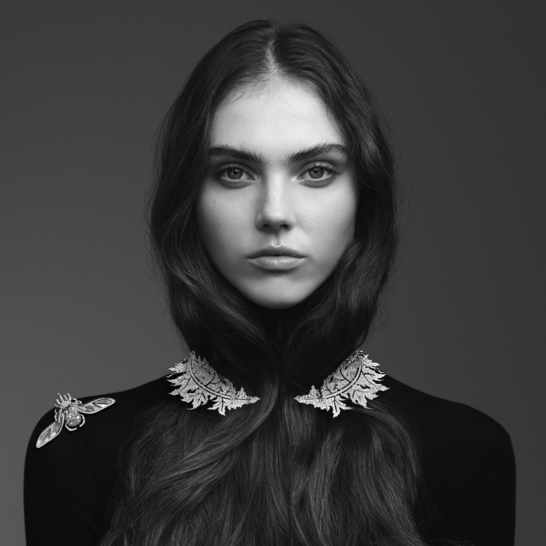 Chardon الشوك - من بوشرون