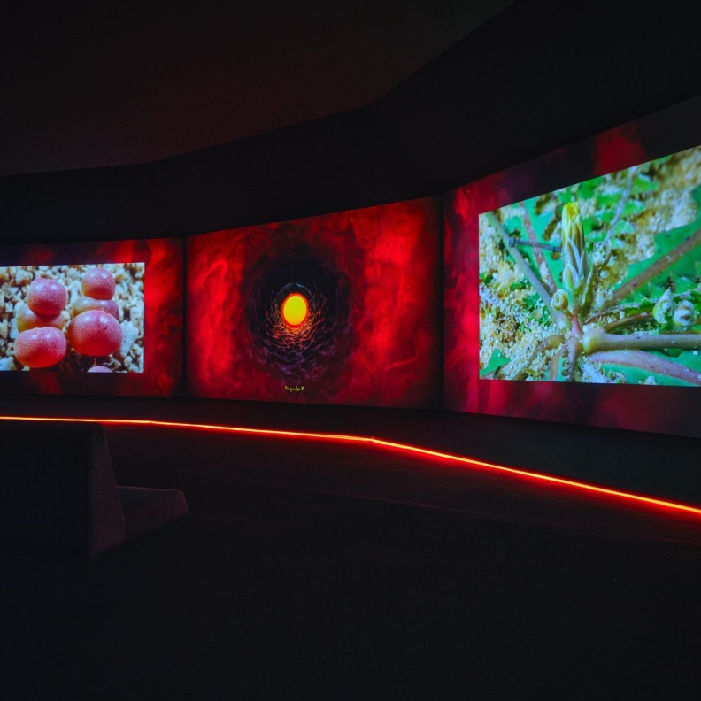 معرض «فنّ المملكة» يحُط رحالهُ في المتحف السعودي للفن المعاصر في جاكس