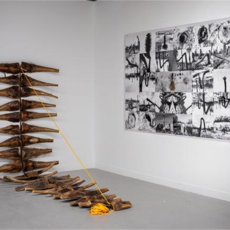 كل ما يجب عليك معرفته عن أسبوع فن الرياض الصورة من مشاركة اثراء