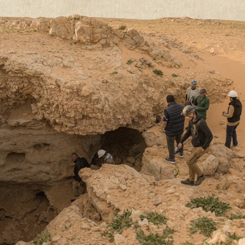 اكتشاف سعودي يغيّر التاريخ... 8 ملايين عام من التنوع البيئي في الجزيرة العربية