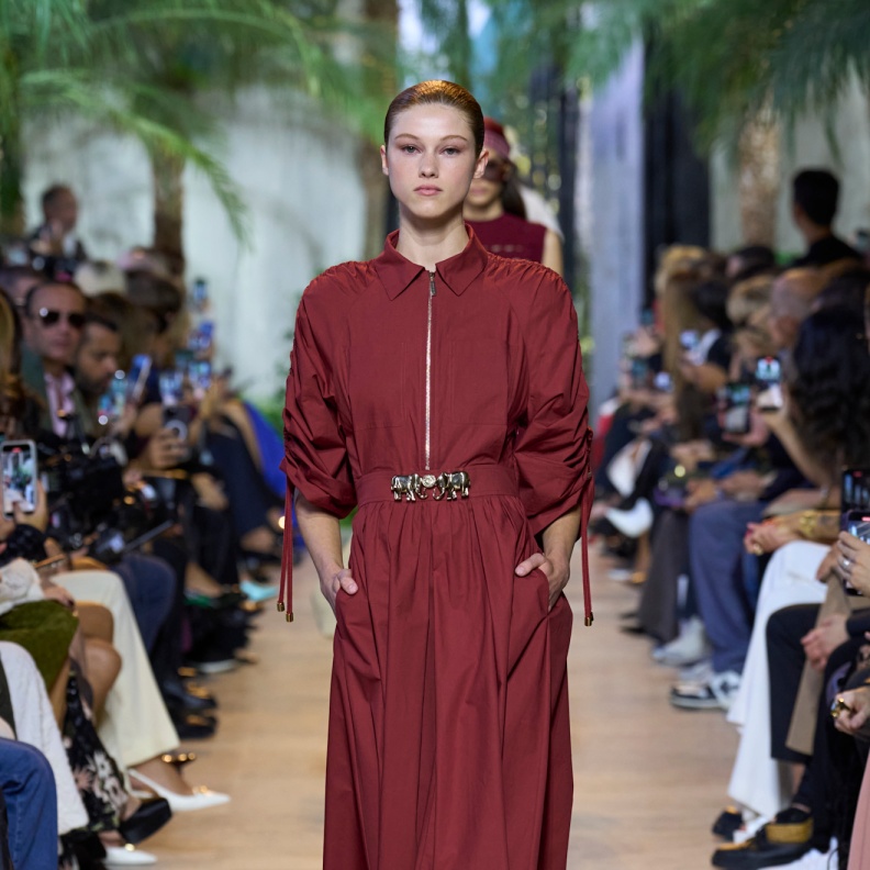 Elie Saab الفساتين الطويلة مميزة من