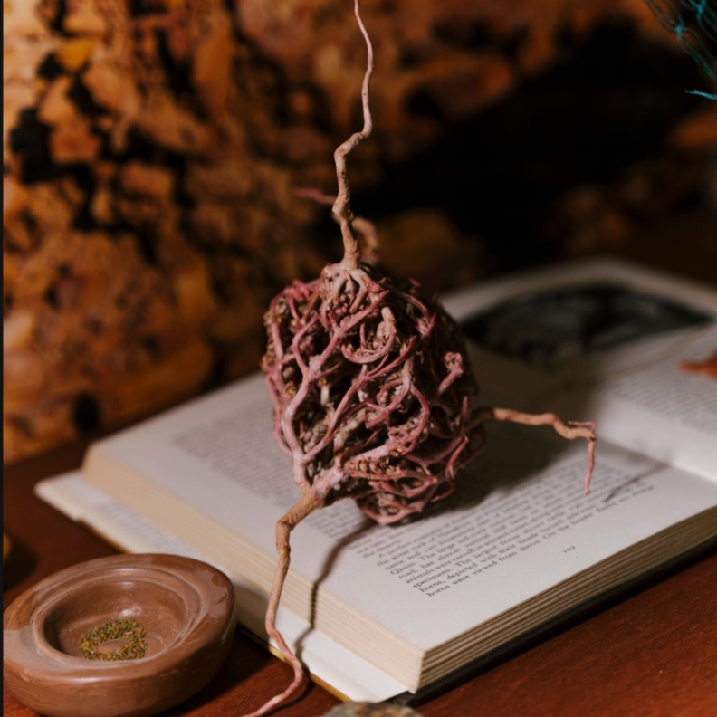 معرض "عَوْد وتلاق": من نيوم إلى أسبوع فن الرياض 2025.. حين يهمس الفن بتحولات الأرض والذاكرة