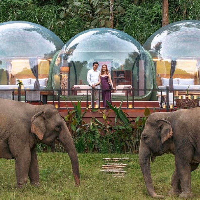 منتجعAnantara Golden Triangle Elephant Camp & Resort