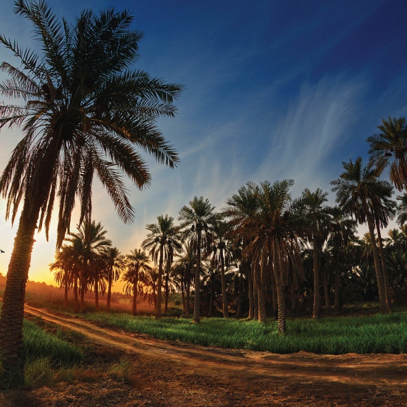 السياحة في الأحساء
