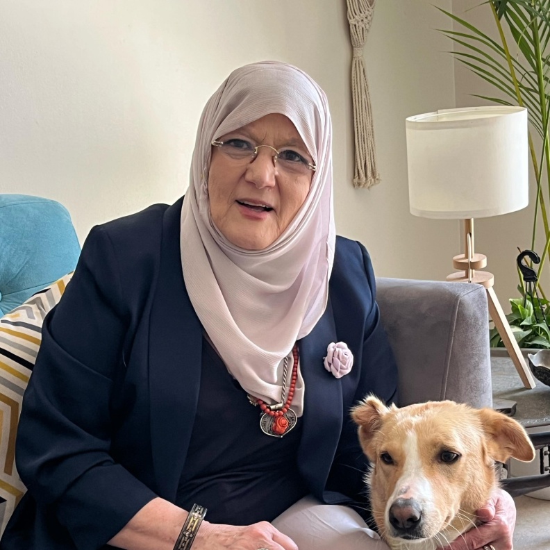 شمس البارودي 