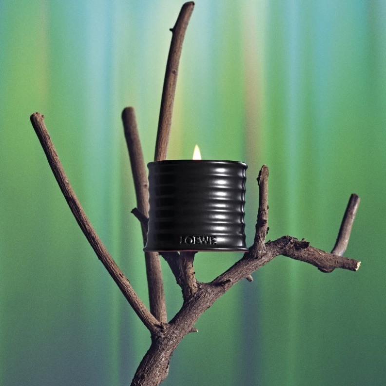 LOEWE للعطور تقدم عطر PALO SANTO ضمن تشكيلة العطور المنزلية