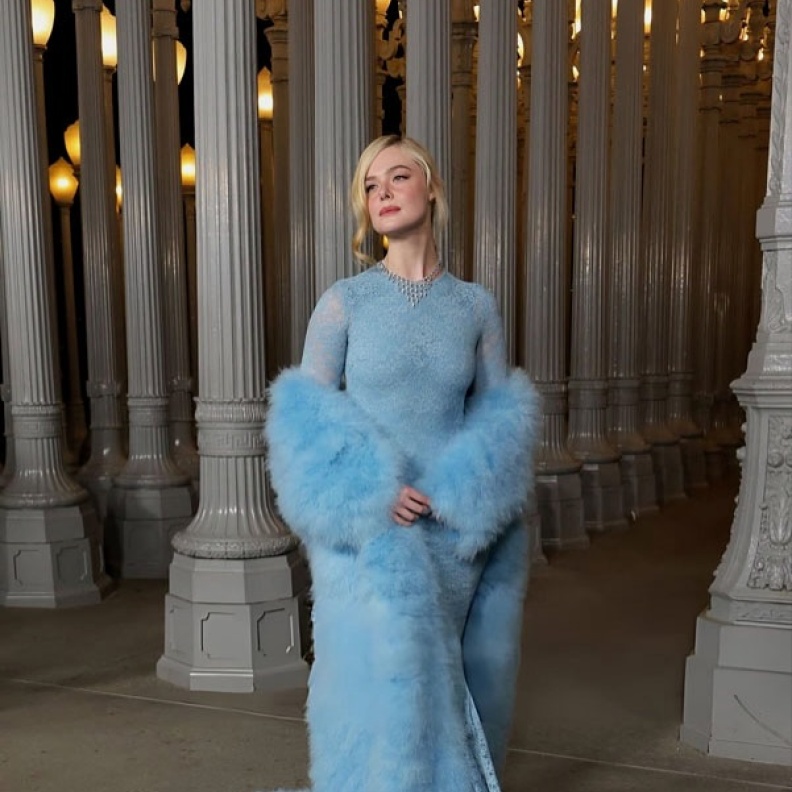 إيل فانينغ بفستان طويل بالأكمام الطويلة