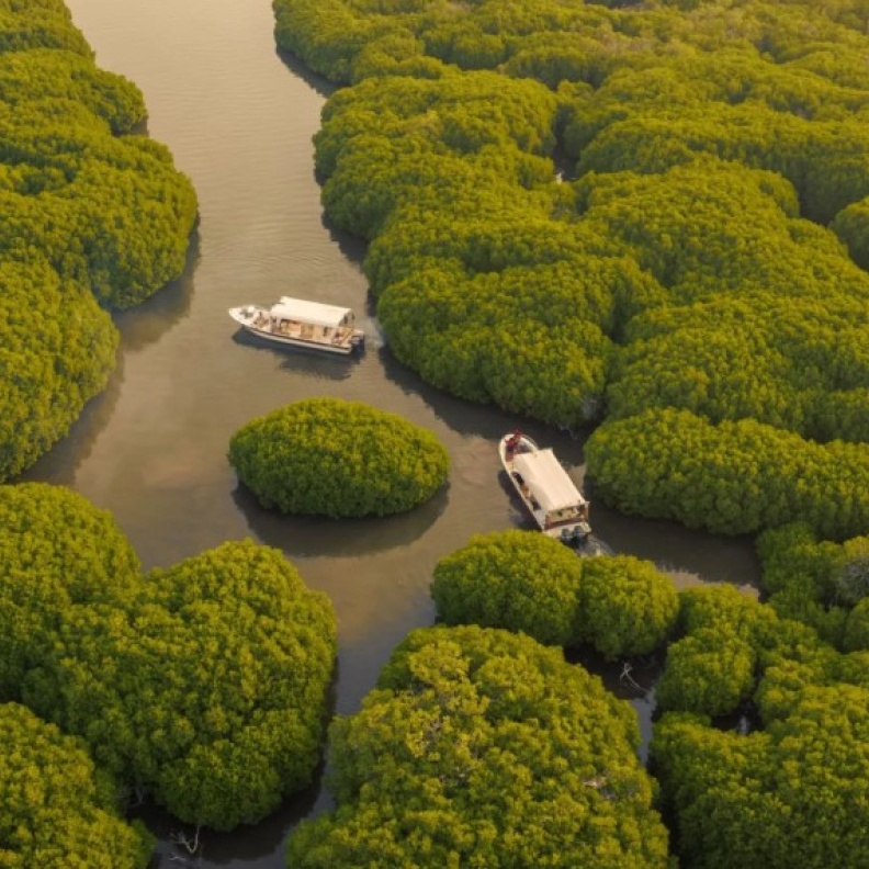 10 وجهات شتوية غير تقليدية يمكنكم الاستمتاع بزيارتها في المملكة