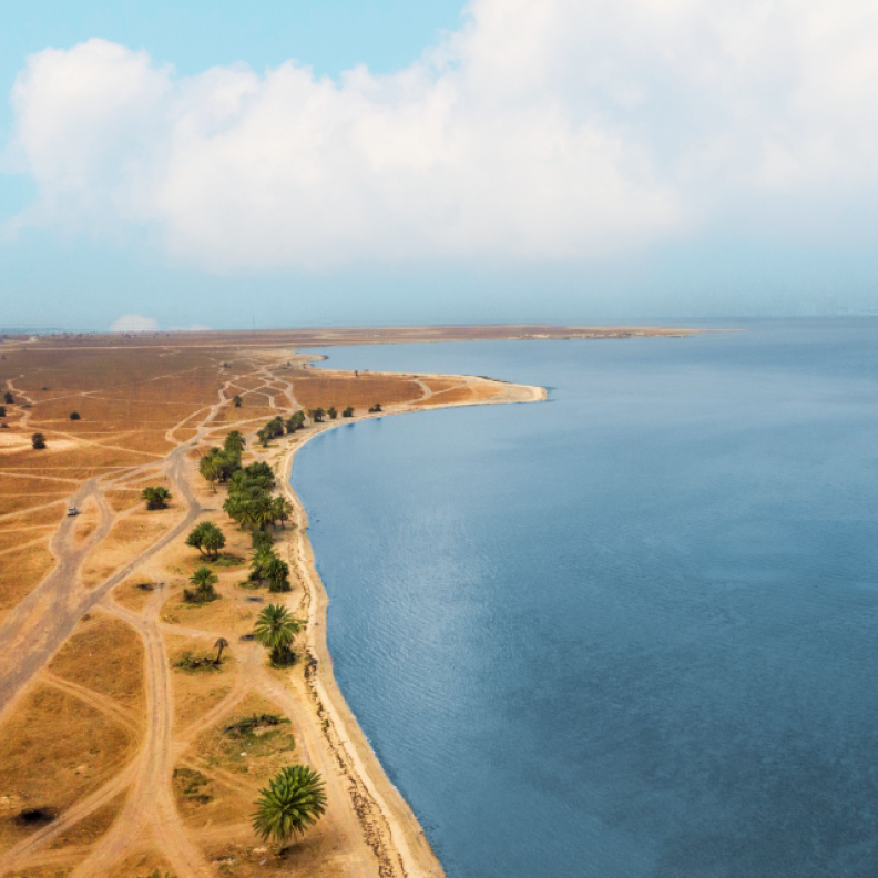 شاطئ العقير