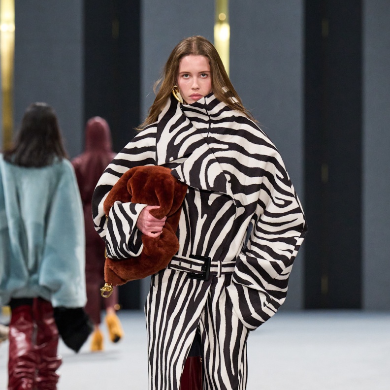 نقشة الزيبرا من Balmain