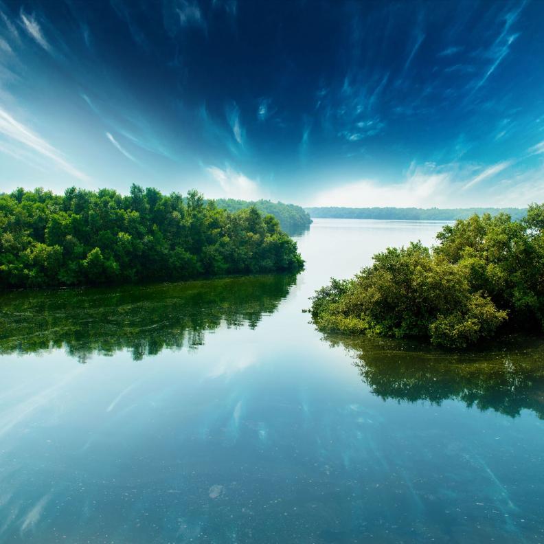 شتاء الإمارات… حين تفتح المحميات الطبيعية أبوابها لأجمل التجارب الخضراء