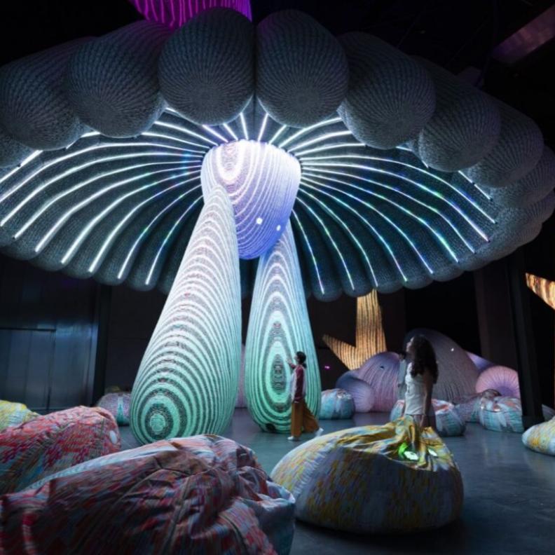 مهرجان القوز للفنون 2026.. نبض الإبداع يعود إلى السركال أفنيو