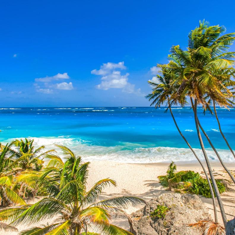 المناخ في بربادوس