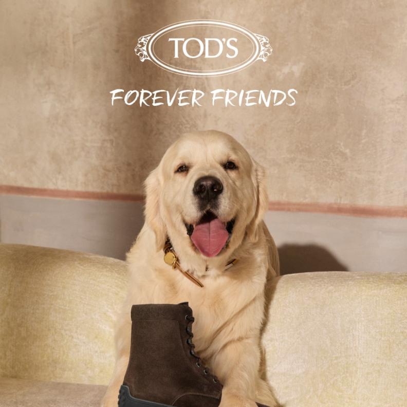 Tod’s تحتفي بروابط الصداقة في حملة Winter Gommino الجديدة