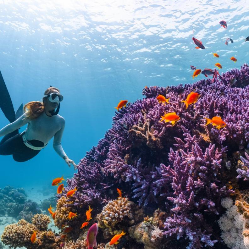 من الغوص إلى التأمل.. وجهات سعودية ساحرة تعيد التوازن لحياتك