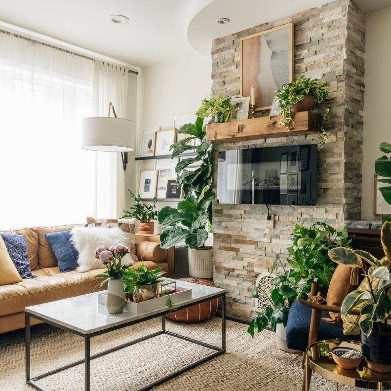 النباتات تعزز أجواء أي غرفة وتمنحها حيوية وانتعاش واضحين