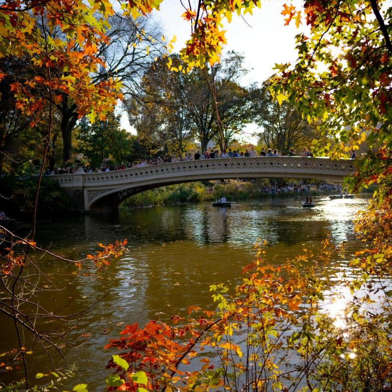 تجربة السياحة في نيويورك لعشّاق الخصوصية والفخامة